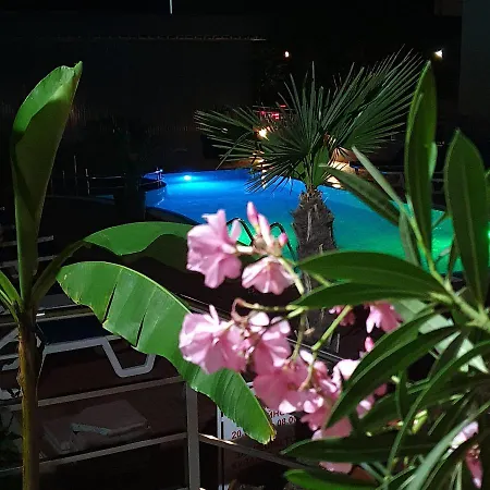 Cacao Slantchev Briag