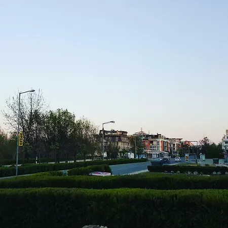 Cacao ساني بيتش