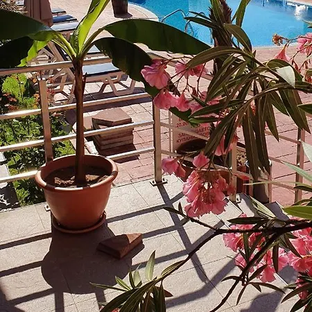 Apartament Cacao Słoneczny Brzeg