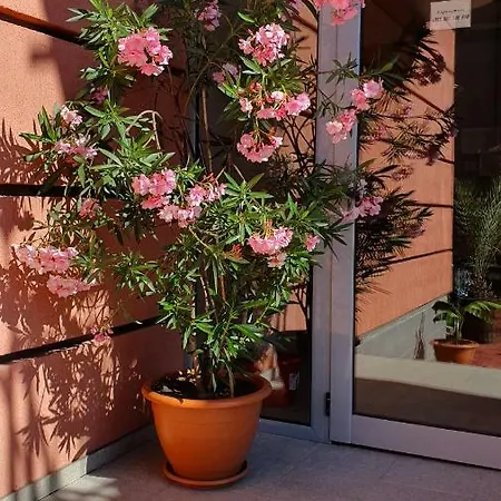 Апартамент Cacao *