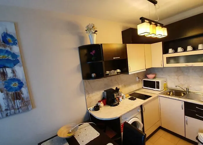 Daire Cacao Sunny Beach