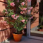 Apartamento Cacao *